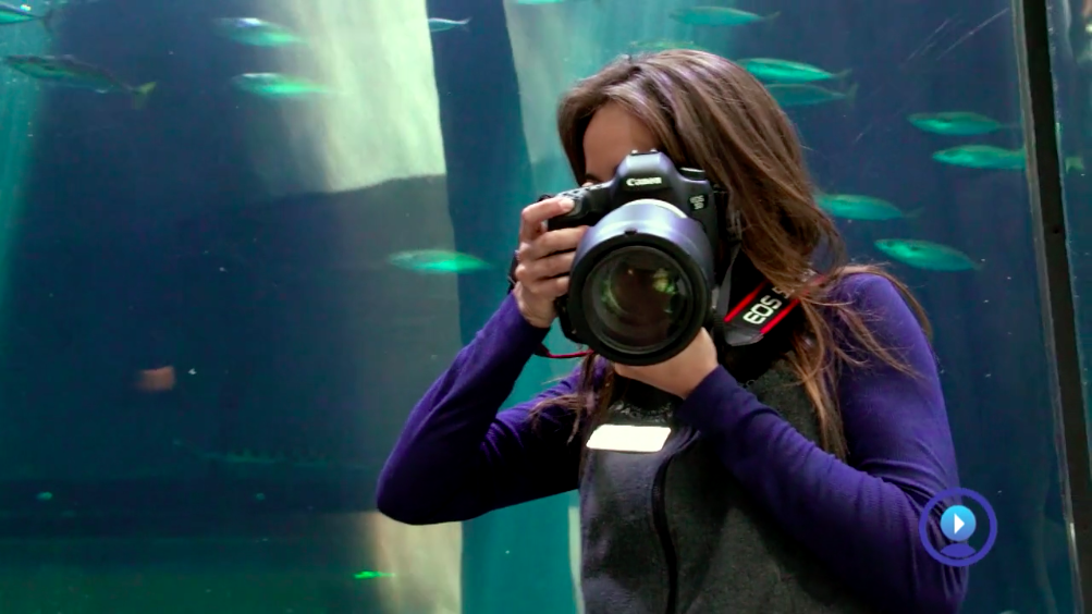 Public Relations Coordinator