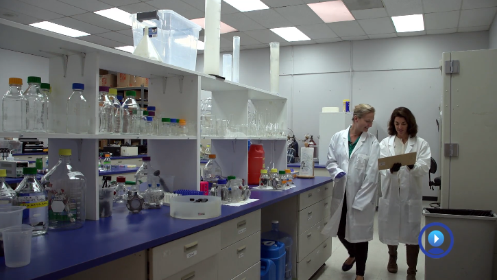 STEM Sustainable Future